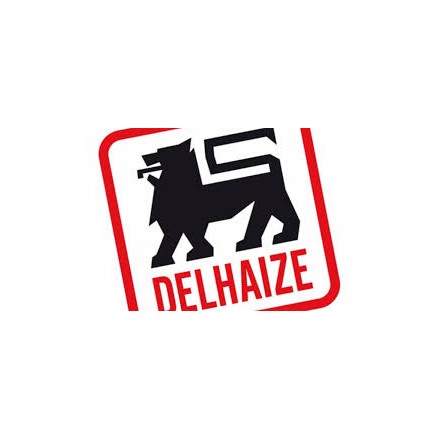  - Logo delhaize
